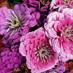 See Jane Inspired - Finding floral inspiration at New York's Union Square Green Market